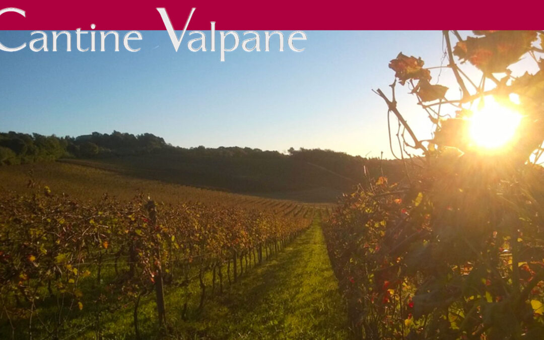 L’eccellenza delle Colline di Monferrato