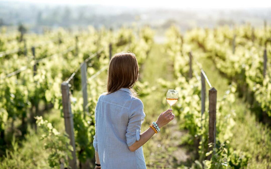 Dal Collio Cormònese: Terre del Faet