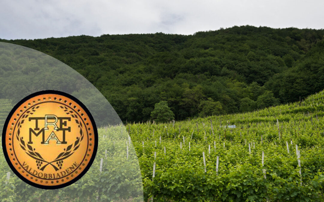 Il Prosecco di una volta!